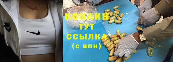 гашик Кинешма