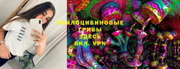 гашик Кинешма