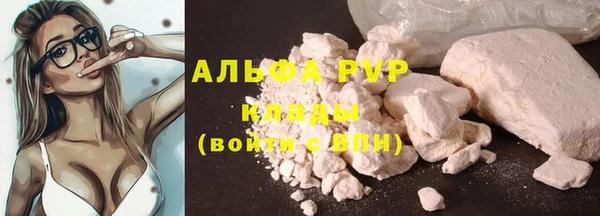 гашик Кинешма
