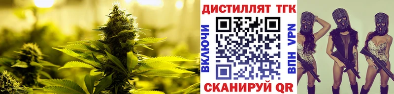 Дистиллят ТГК концентрат  продажа наркотиков  МЕГА зеркало  Красавино 